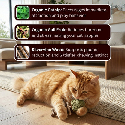LBMLBM™ Catnip & Silvervine Chew