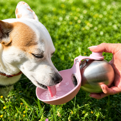 LBMLBM™ 2-in-1 Dog Travel Water Bottle-One Bottle. Easier Dog Walks.