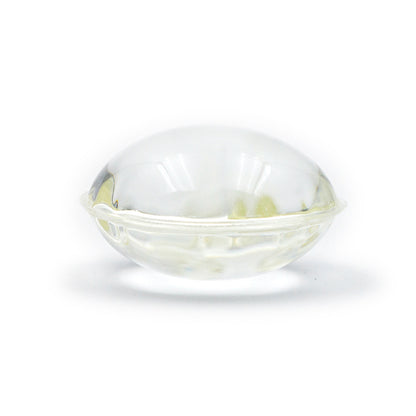 🔥LBMLBM™ Bug Free Collar - Natural Plant-Based Repellent