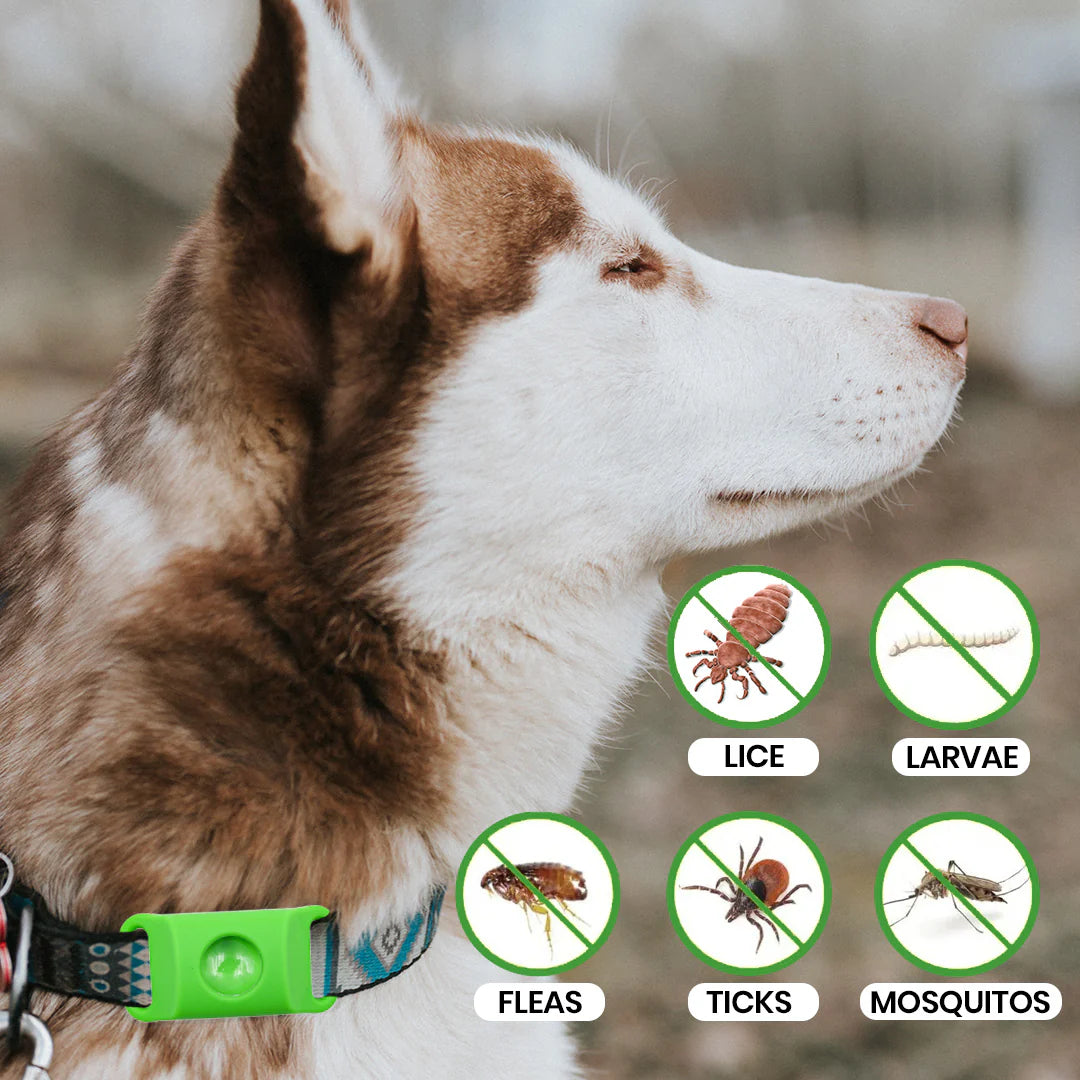 🔥LBMLBM™ Bug Free Collar - Natural Plant-Based Repellent